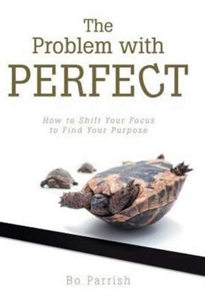 The Problem with Perfect de Bo Parrish
