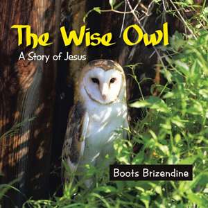 The Wise Owl de Boots Brizendine