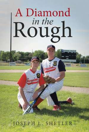 A Diamond in the Rough de Joseph L. Shetler