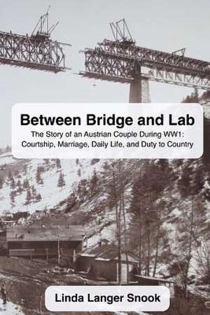 Between Bridge and Lab de Linda Langer Snook