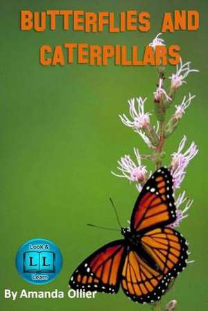 Butterflies and Caterpillars. de Amanda Ollier