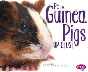 Pet Guinea Pigs Up Close de Brynn Baker