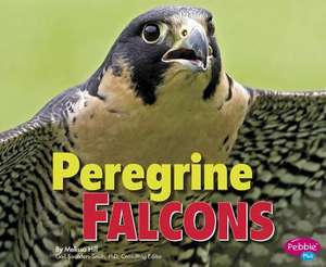 Peregrine Falcons de Melissa Hill