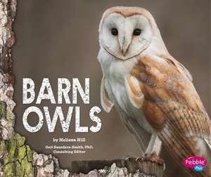 Barn Owls de Melissa Hill