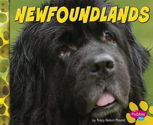 Morey, A: Newfoundlands
