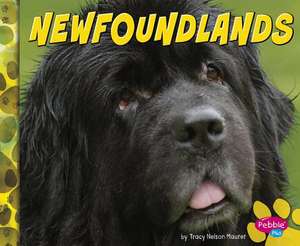 Newfoundlands de Blake Hoena