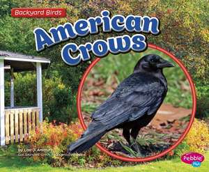 American Crows de Lisa J. Amstutz