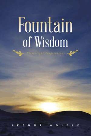 Fountain of Wisdom de Ikenna Adiele