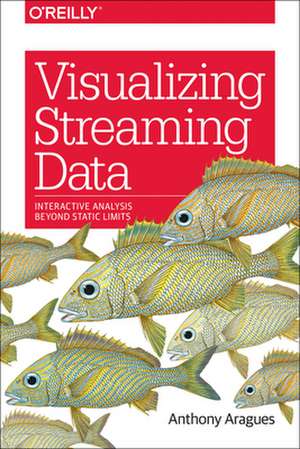 Visualizing Streaming Data de Anthony Aragues