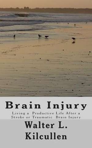 Brain Injury de Walter L. Kilcullen