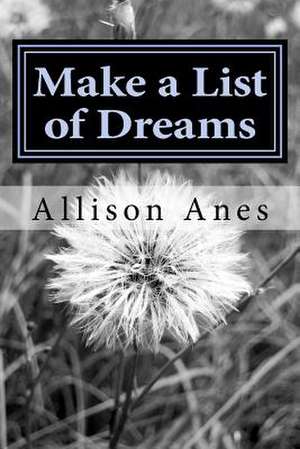 Make a List of Dreams de Allison Anes