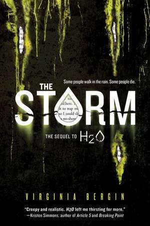 The Storm de Virginia Bergin