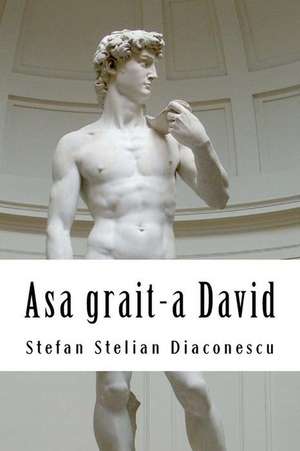 Asa Grait-A David de Stefan Stelian Diaconescu