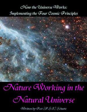 How the Universe Works de MR P. S. J. (Peet) Schutte