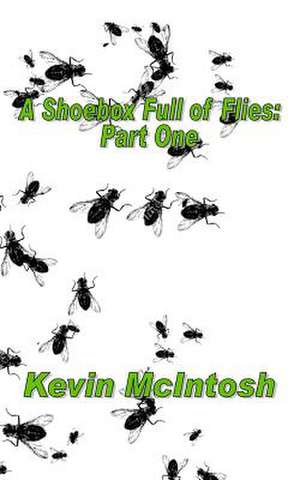 A Shoebox Full of Flies de MR Kevin D. McIntosh