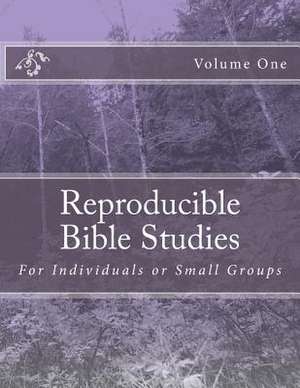 Reproducible Bible Studies de Jeff Canfield