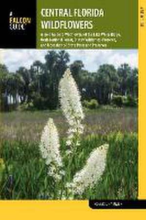 Central Florida Wildflowers de Roger L. Hammer