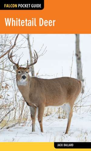 Whitetail Deer de Jack Ballard