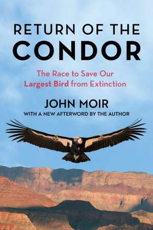 Return of the Condor de John Moir