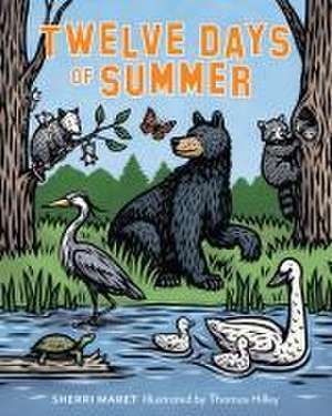 Twelve Days of Summer de Sherri Maret