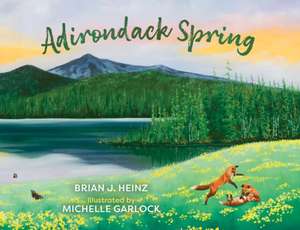 Adirondack Spring de Brian J. Heinz
