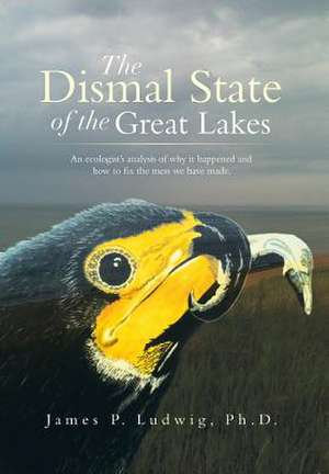 The Dismal State of the Great Lakes de James P. Ludwig Ph. D.