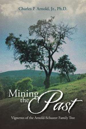 Mining the Past de Charles P. Arnold Jr. Ph. D.