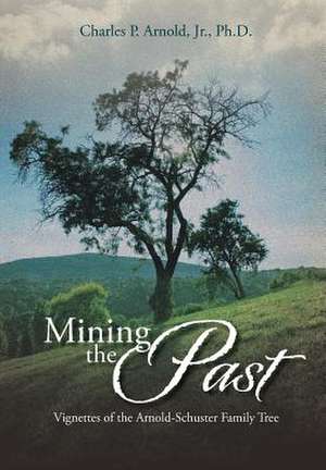 Mining the Past de Charles P. Arnold Jr.