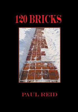 120 Bricks de Paul Reid