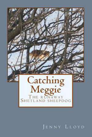 Catching Meggie the Runaway Shetland Sheepdog de Jenny Lloyd