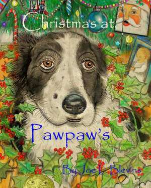 Christmas at Pawpaw's de Joe L. Blevins