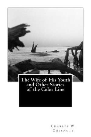 The Wife of His Youth and Other Stories of the Color Line: The Centennial History of Lake Harriet Lodge 277 de Charles W. Chesnutt