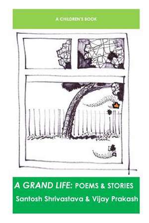 A Grand Life de Santosh Shrivastava