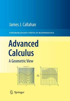 Advanced Calculus: A Geometric View de James J. Callahan