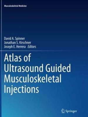 Atlas of Ultrasound Guided Musculoskeletal Injections de David A. Spinner