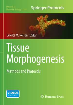 Tissue Morphogenesis: Methods and Protocols de Celeste M. Nelson
