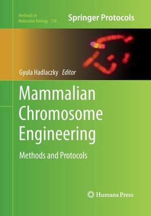 Mammalian Chromosome Engineering: Methods and Protocols de Gyula Hadlaczky