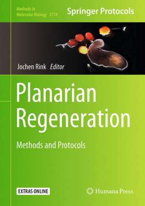 Planarian Regeneration: Methods and Protocols de Jochen C. Rink