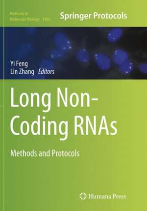 Long Non-Coding RNAs: Methods and Protocols de Yi Feng