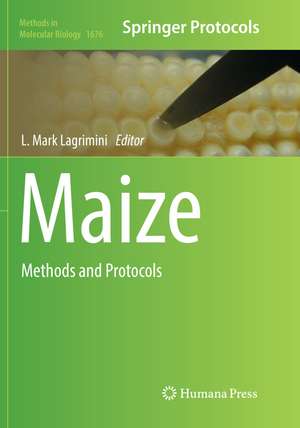 Maize de L. Mark Lagrimini