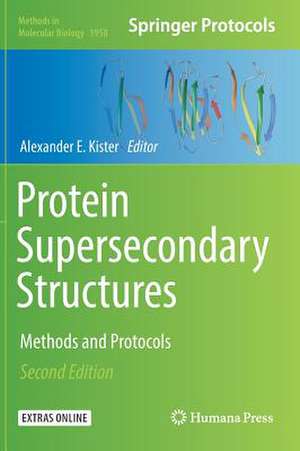 Protein Supersecondary Structures: Methods and Protocols de Alexander E. Kister