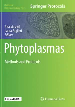 Phytoplasmas de Rita Musetti