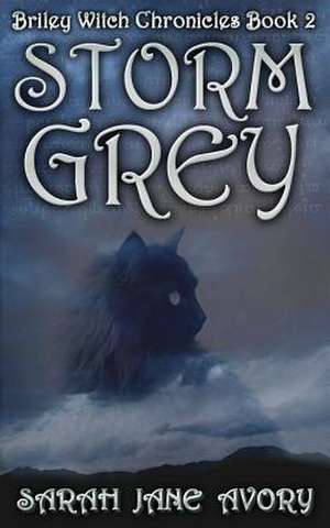 Storm Grey de Sarah Jane Avory