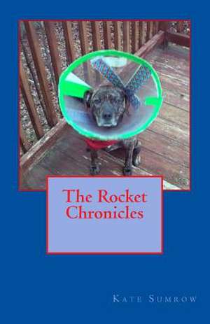 The Rocket Chronicles de Kate Sumrow