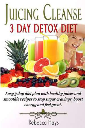 Juicing Cleanse 3 Day Detox Diet de Rebecca Hays