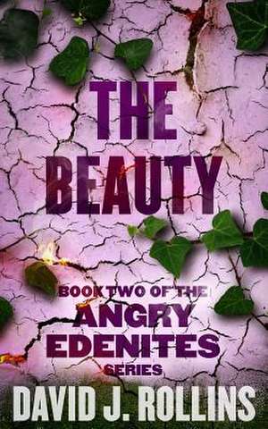 The Beauty de David J. Rollins