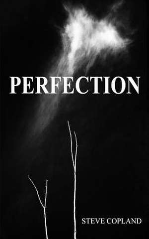 Perfection de Steve Copland