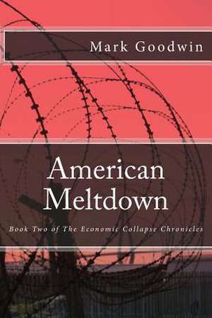 American Meltdown de Mark Goodwin