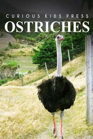 Ostrich - Curious Kids Press de Curious Kids Press