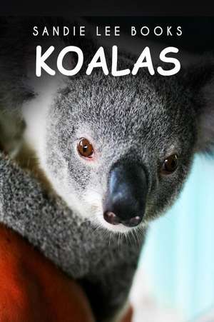 Koalas - Sandie Lee Books de Sandie Lee Books